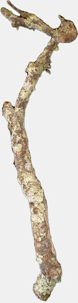 Habistat Kurk Tak 100Cm