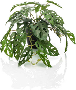 Emerald - Kunstplant in pot Monstera Monkey 55cm - Kunstplanten voor binnen