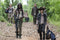 The Walking Dead - Seizoen 5 - Geweld en angst - Leeftijd 16+