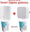 alpina Smart Home - Slimme Watermelder - Lekdetectie 90M Detectie Afstand - IP66 Waterbestendig