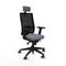 Bureaustoel Piqueras y Crespo 2D066G2 Grijs