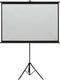 vidaXL - Projectiescherm - met - statief - 1:1 - 81''