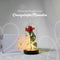 Nonchi Roos in Glazen Stolp - LED Verlichting - Gouden Roos - Cadeau voor Vrouw - Inclusief Giftbox