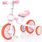 3 in 1 peuterfiets voor 18 maanden tot 3 jaar, peuterdriewieler, peuterdriewielers, babydriewielers, kinderfiets, roze