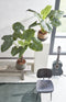 Mica Decorations Jorck Plantenmand - Set van 3 - Handgemaakt met plastic liner - Zwart (set van 3)