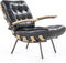 Goossens Bastiaan fauteuil Leer