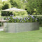 vidaXL - Plantenbak - 291x140x68 - cm - gepoedercoat - staal - zilverkleurig