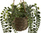 Decoratieve plant Home ESPRIT Polyethyleen Vezel 16 x 16 x 70 cm (2 Stuks)