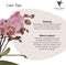 Kolibri Orchids | Roze Phalaenopsis orchidee in witte Face to Face sierpot - Ø12cm