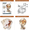 ROBOTIME 3D Houten Puzzel Lichtgevende Globe Bouwpakket voor Volwassen, Hout Modelbouw Gebouw Bouw Ambachten Kits Beste Festival Geschenken