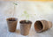 Turfpot H6x dia. 6cm set a 18 stuks