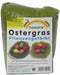 Paas decoratie - groen gras