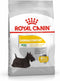Royal Canin Dermacomfort Mini - Hondenvoer - 3 kg