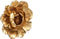 PTMD Mira Bloem Wanddecoratie - 20 x 4,5 x 20 cm - Polyresin - Goud