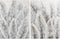 Schilderij Home ESPRIT Blad van een plant Traditioneel 90 x 3 x 120 cm (2 Stuks)