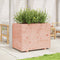 vidaXL - Plantenbak - 90x60x72 - cm - massief - douglashout