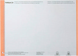 Ruiterstrook Elba Nr 0 297x6mm verticaal oranje