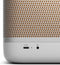 Bang & Olufsen Beolit 20 - Draadloze luidspreker - 70W RMS - Grijs