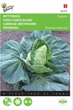 2 stuks - Buzzy - Wittekool Express Vroege Spitse