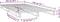 vidaXL - Palletbed - massief - grenenhout - zwart - 100x200 - cm