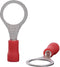 Quadrios 22C445 Ringkabelschoen Dwarsdoorsnede (max.): 1.5 mm² Gat diameter: 10.5 mm Deels geïsoleerd Rood 1 set(s)