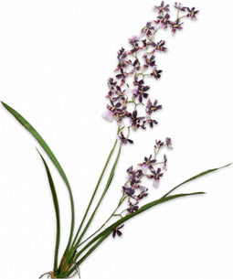 Silk-ka Kunstbloemen Zijden Bloemen Oncidium Tijger Orchidee Tak Bordeaux Paars 78 cm 150042