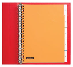 Quantore - Tabbladen 23-gaats 5-delig met venster assorti pp | 25 stuks