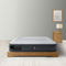 QUEEN DURA-BEAM SERIES MID RISE AIRBED WITH BIP