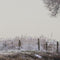 Customize it - Tuinschilderij polder winter 70x50