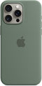 Apple MT1X3ZM/A - Smartphonehoesje - Siliconen met MagSafe - Groen