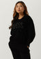 Guess Estelle RN LS Swtr - Dames Sweater - Met pailletten - Zwart - Maat S