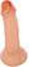 Penis Shaped Piggy Bank 22.5cm