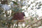 Baza Vogel-Buffet Picknick Mezen