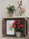 Mica Decorations Rozenstruik Kunstplant in Bloempot Stan - H33 x Ø25 cm - Rood