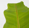 Plant in a Box - Musa Basjoo - Set van 2 - Winterharde bananenplanten - Tuinbanaan - Pot 21cm - Hoogte 55-70cm