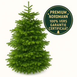 FURNILUX Nordmann Kerstboom - 450 - 500 cm - Naaldvast - Diepgroen