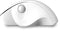 Qware Office - Ergonomische Muis - Muis - Draadloos - 2.4 GHz - Dongle - Duimsteun - Duimscrol - Luton - 1600 DPI - Wit