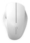 Qware Office - Ergonomische Muis - Muis - Draadloos - 2.4 GHz - Dongle - Duimsteun - Duimscrol - Luton - 1600 DPI - Wit