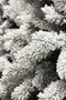 Black Box kunstkerstboom medford maat in cm: 185 x 99 besneeuwd groen