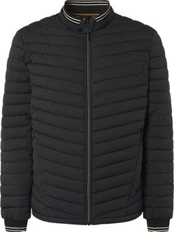 No Excess Jacket - Gewatteerd - Regular fit met ribkraag - Zwart