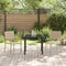 vidaXL - Stapelbare - Tuinstoelen - 2 - stuks - Beige - Poly - Riet
