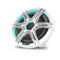 Fusion Apollo Subwoofer 12
