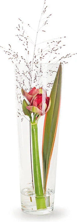 Conische vaas glas Everest