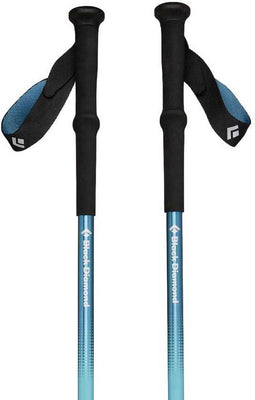 Black Diamond Trail Back Stokken Zilver 100-140 cm