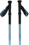 Black Diamond Trail Back Stokken Zilver 100-140 cm