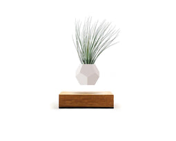 LYFE Planter 1.1 Zwevende Bloempot - Eiken / Wit