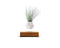 LYFE Planter 1.1 Zwevende Bloempot - Eiken / Wit