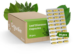 Leaf Diseases Bladziekten Capsules – 36 stuks - Voor Planten die Vatbaar zijn Voor Bladziekten - Ondersteunt Herstel en Plantweerbaarheid - Geschikt voor alle Kamerplanten, Potplanten en Buitenplanten - Organifer