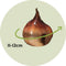 Plant in a Box - Tulipa Cabanna - 25x Tulpenbollen winterhard voor in de tuin - Omtrek bloembollen 11cm