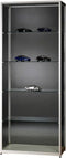 Vitrinekast Aston 800 zilver